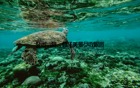 登阁远眺, 赣江美景尽收眼底