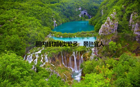 园内植物种类繁多, 景色宜人