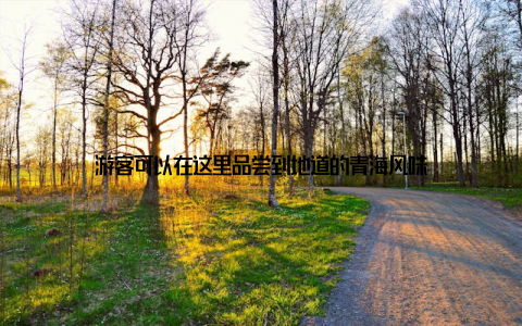 游客可以在这里品尝到地道的青海风味