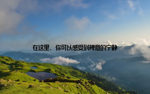 在这里, 你可以感受到禅意的宁静